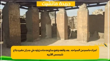 إجراء حاسم من السياحة.. بعد واقعة وضع سائحة مادة زيتية على جدران مقبرة بتاح شبسس الأثرية 1